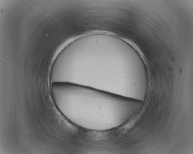 X0000084540910200703091650