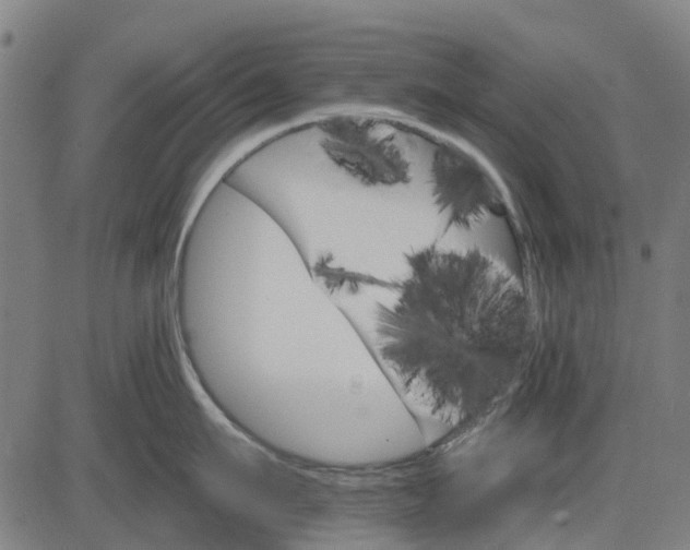 X0000084540911200703091650