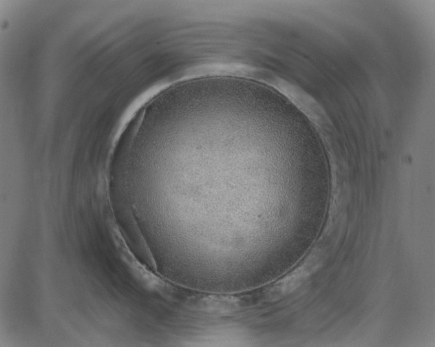 X0000084540912200703091650