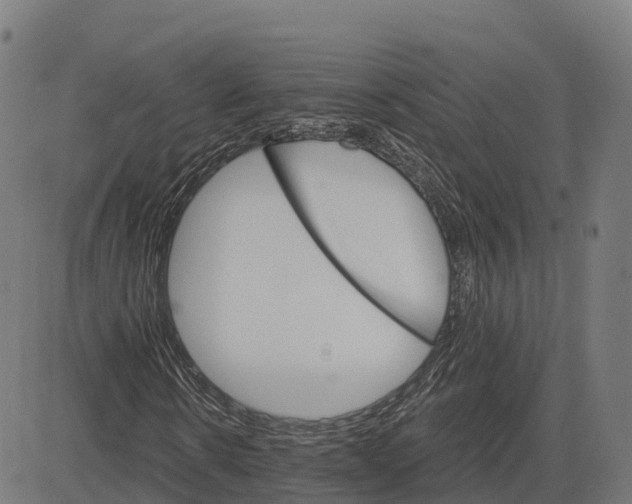 X0000084540914200703091650