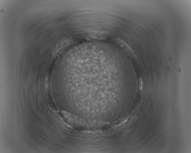 X0000084540915200703091650