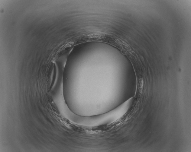 X0000084540916200703091650