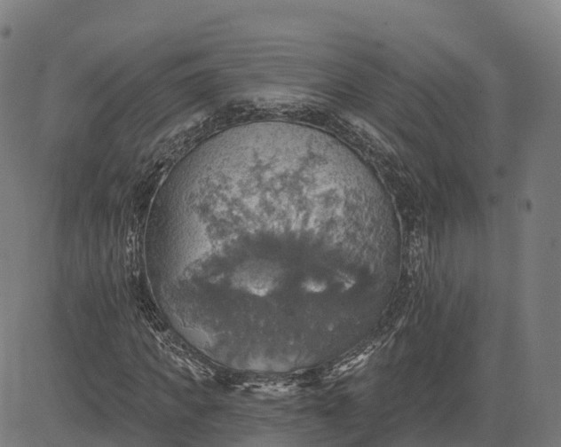 X0000084540917200703091650