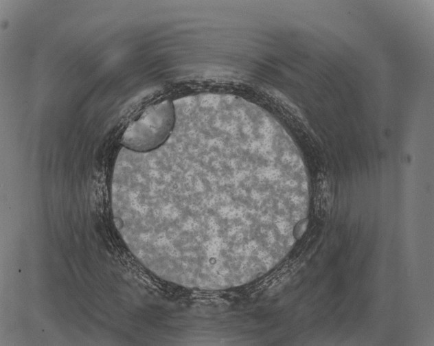 X0000084540918200703091650