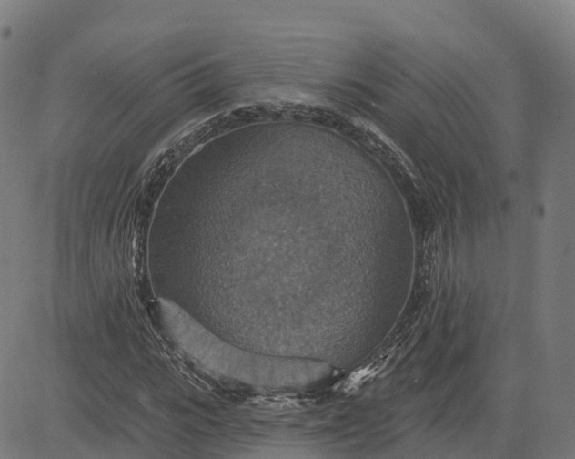 X0000084540919200703091650