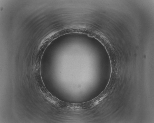 X0000084540920200703091650