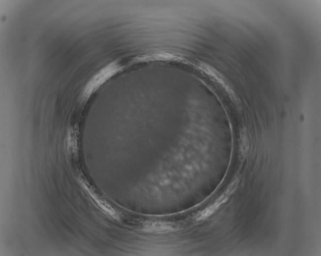 X0000084540921200703091650