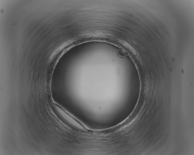 X0000084540922200703091650