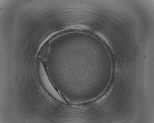 X0000084540923200703091650