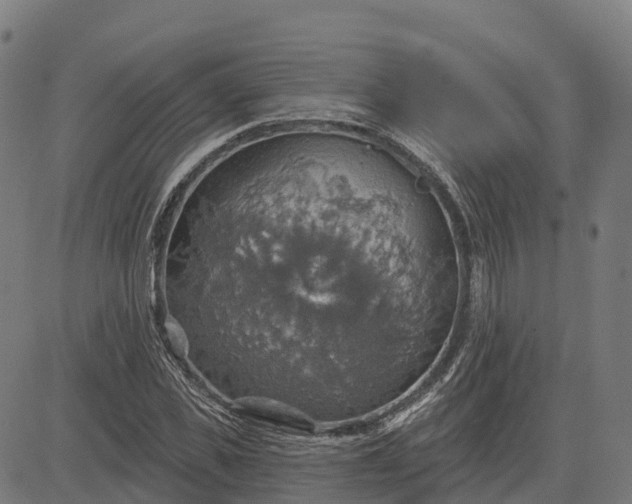 X0000084540925200703091650