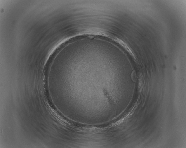 X0000084540926200703091650