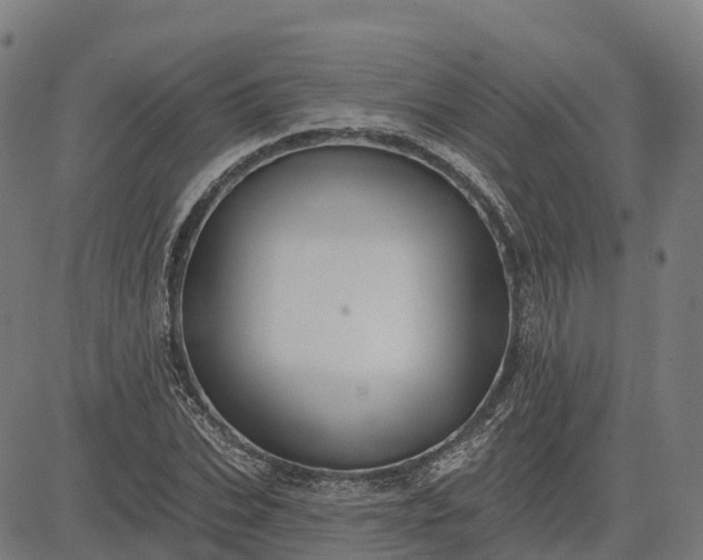 X0000084540927200703091650