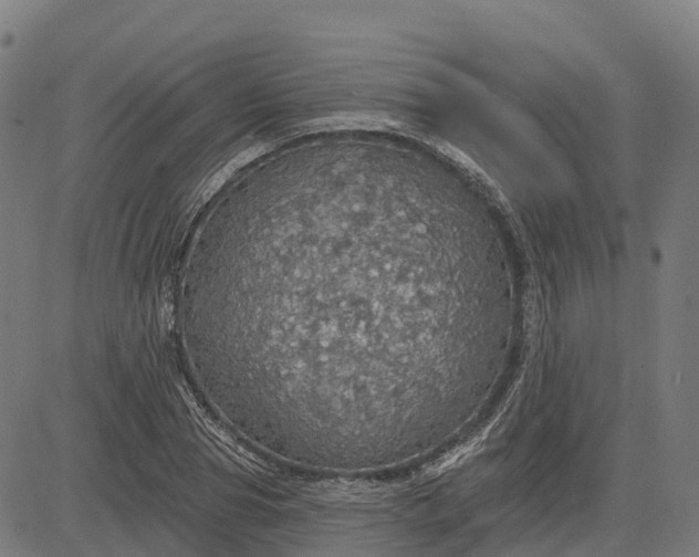 X0000084540929200703091650