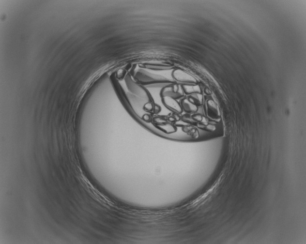 X0000084540930200703091650