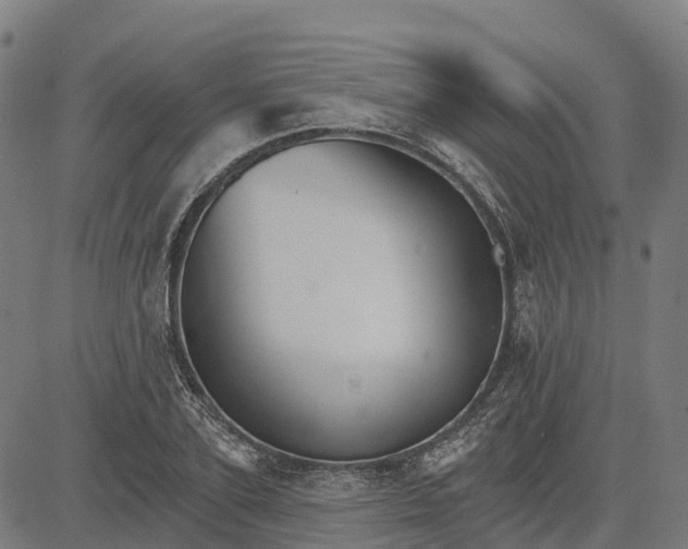 X0000084540931200703091650