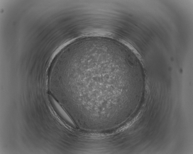 X0000084540933200703091650