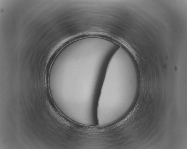 X0000084540934200703091650