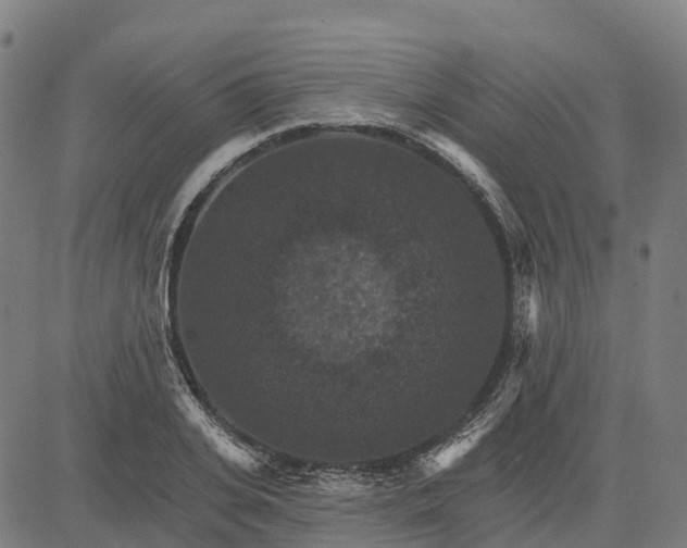 X0000084540935200703091650