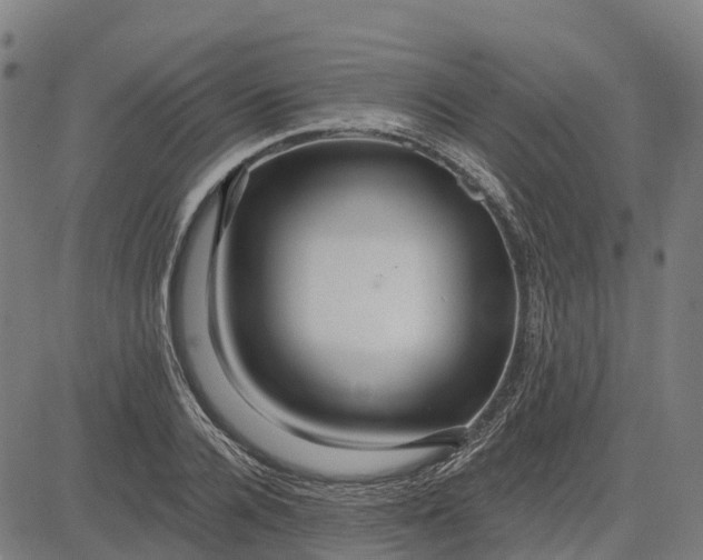 X0000084540936200703091650