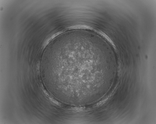 X0000084540937200703091650