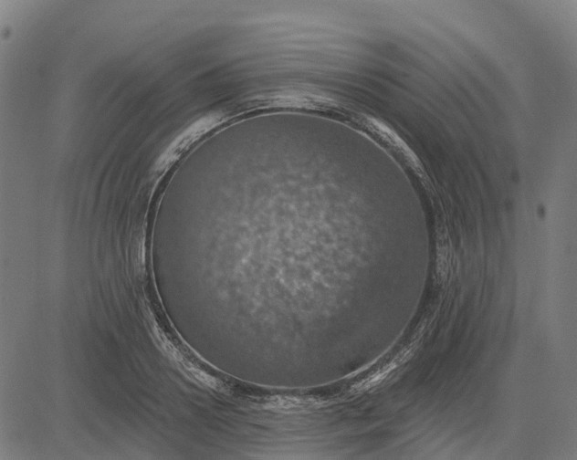 X0000084540938200703091650