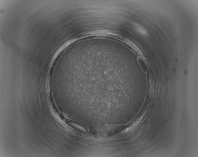 X0000084540939200703091650