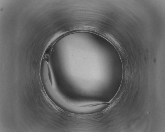 X0000084540940200703091650