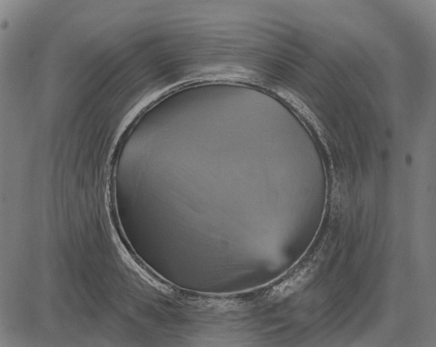 X0000084540941200703091650