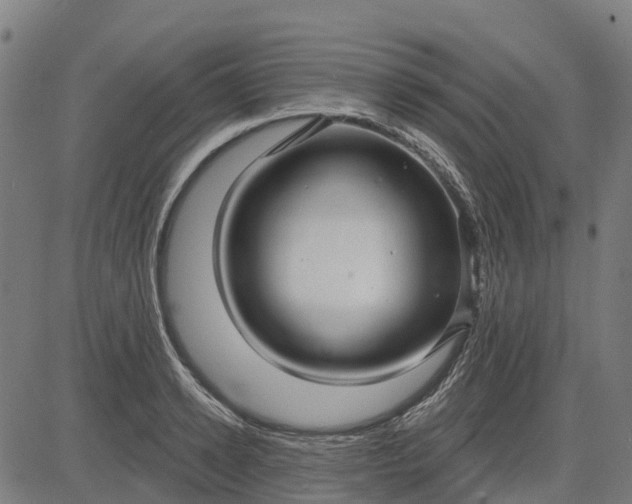 X0000084540942200703091650