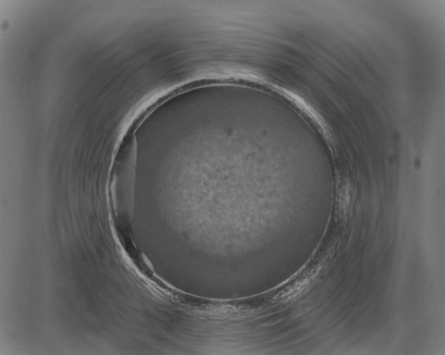 X0000084540943200703091650