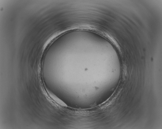 X0000084540944200703091650