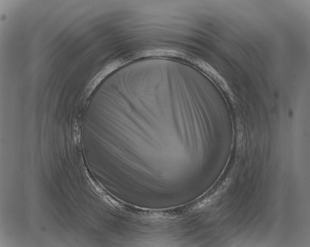 X0000084540945200703091650