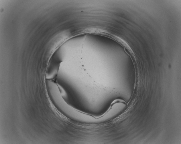 X0000084540946200703091650