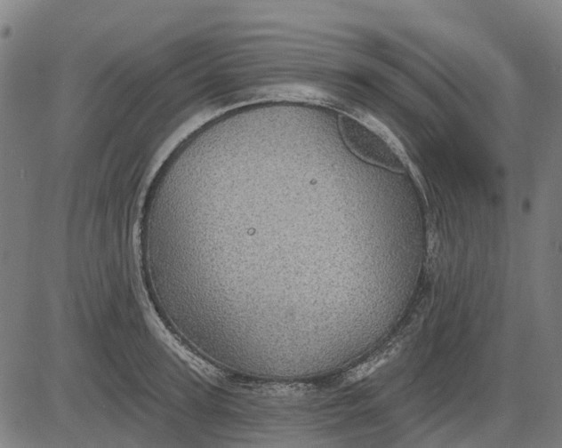 X0000084540947200703091650