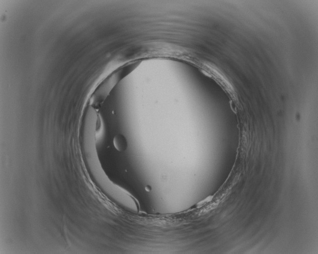 X0000084540948200703091650