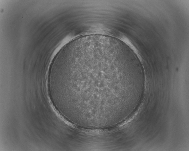 X0000084540949200703091650