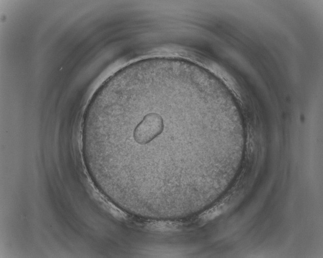 X0000084540950200703091650