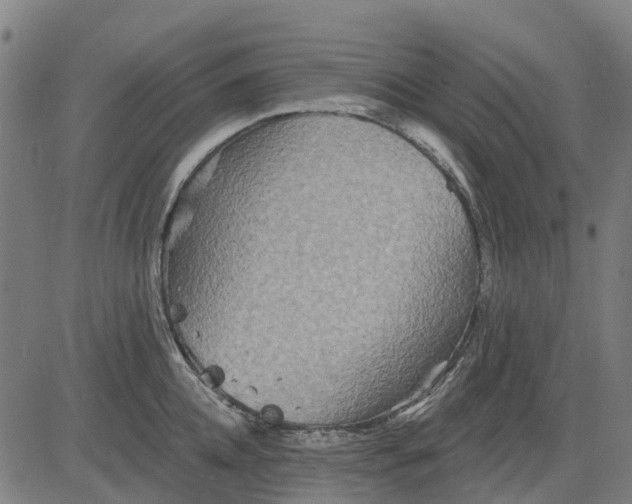 X0000084540952200703091650