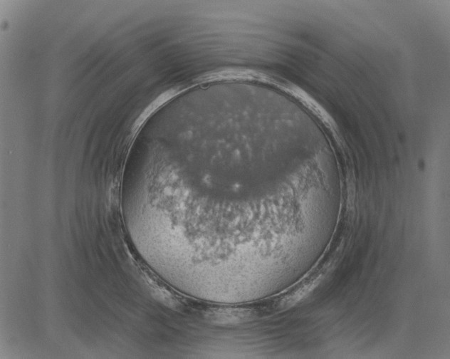 X0000084540953200703091650