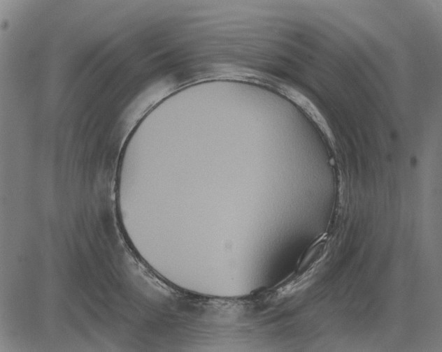 X0000084540954200703091650