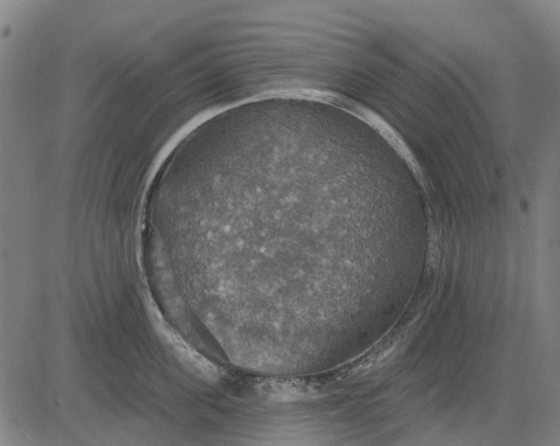 X0000084540955200703091650