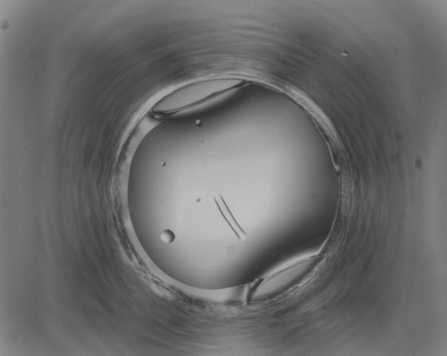 X0000084540956200703091650