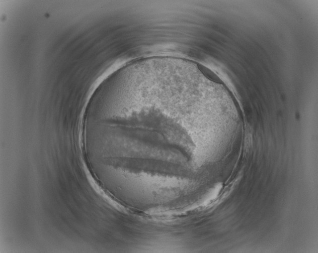 X0000084540957200703091650