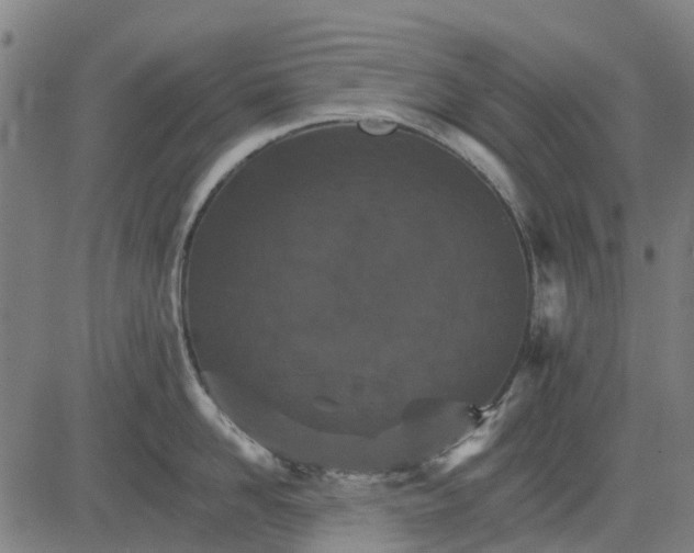 X0000084540958200703091650