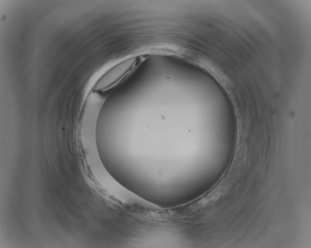 X0000084540960200703091650