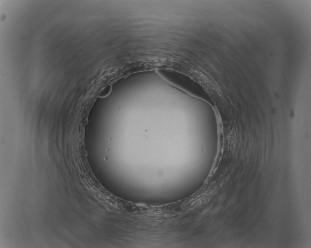 X0000084540961200703091649