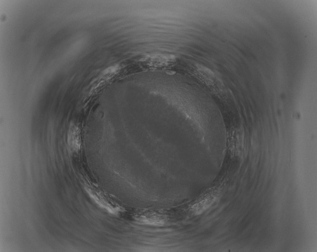 X0000084540962200703091649