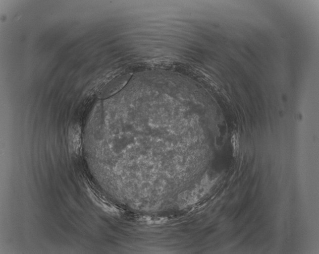 X0000084540963200703091649