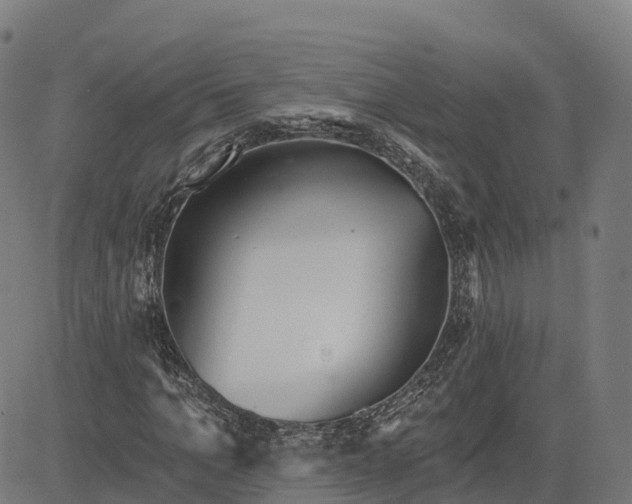 X0000084540965200703091649