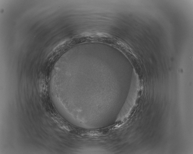 X0000084540966200703091649